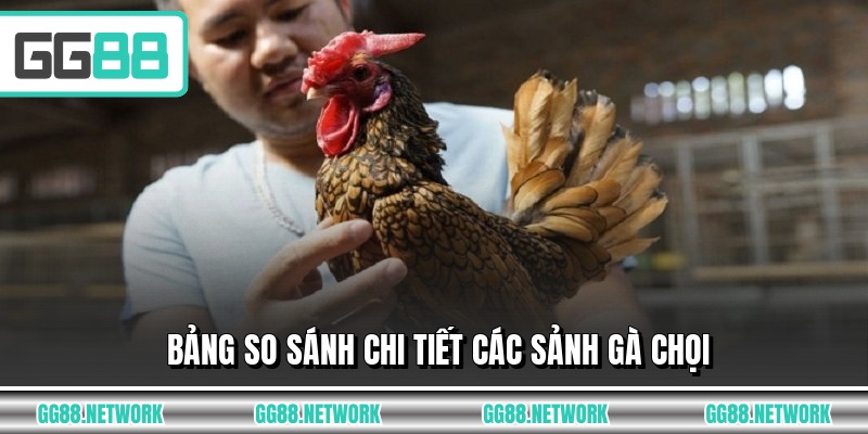 Bảng so sánh chi tiết các sảnh gà chọi