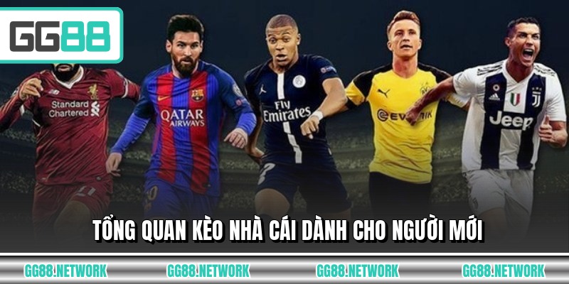 Tổng quan kèo nhà cái dành cho người mới