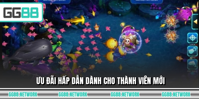 Ưu đãi hấp dẫn dành cho thành viên mới